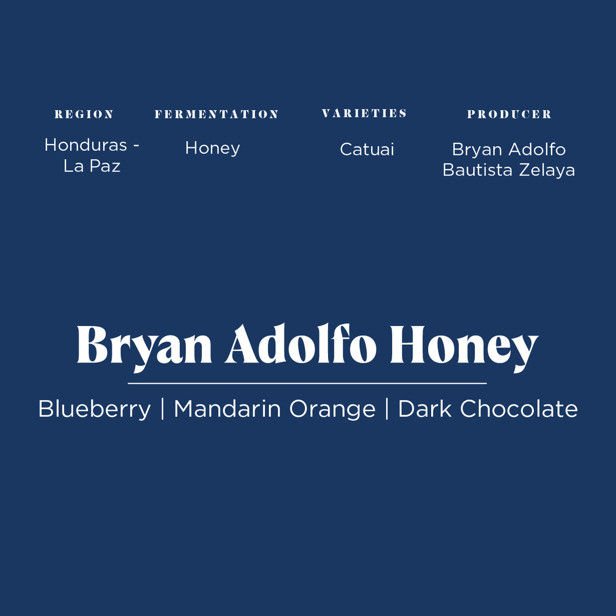Bryan Adolfo Honey