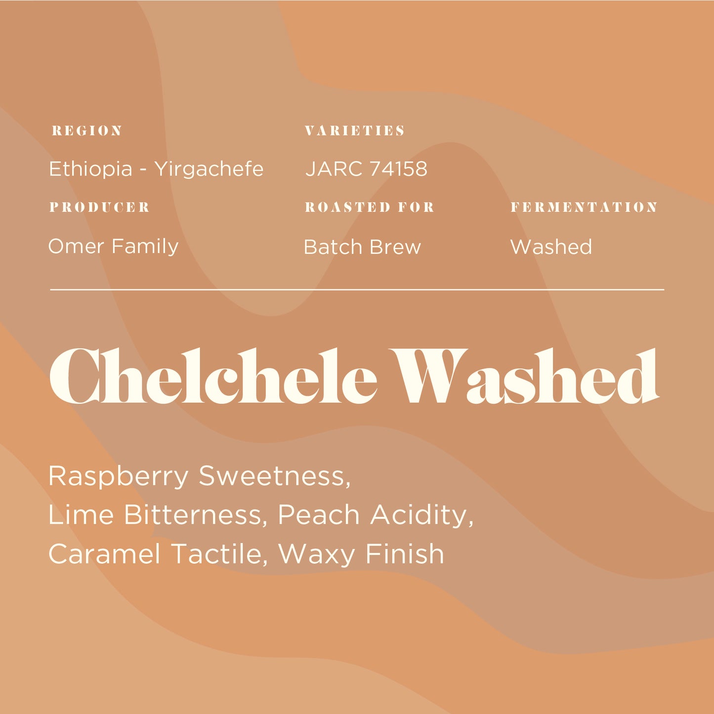 Chelchele Washed
