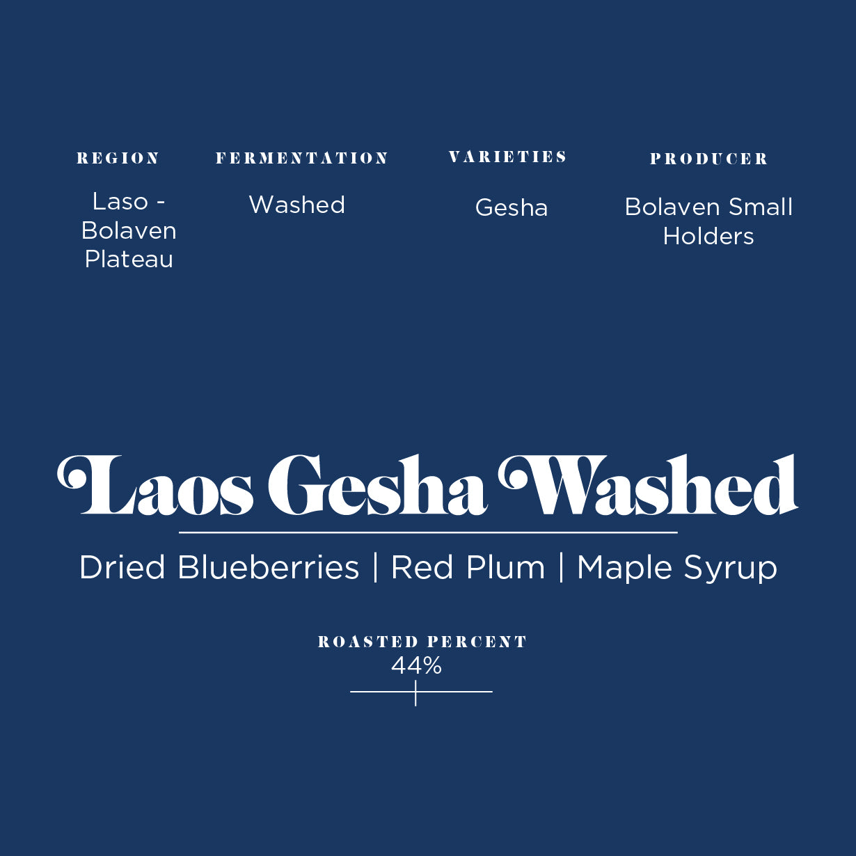 Laos Gesha Washed