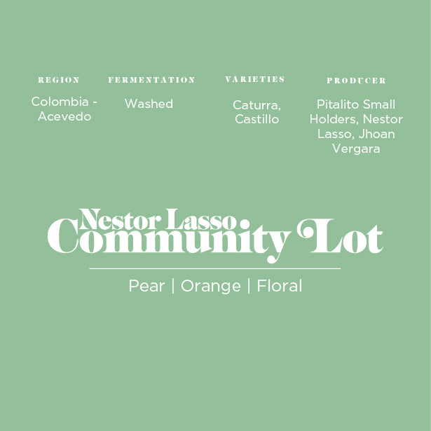 Nestor Lasso: Community Lot