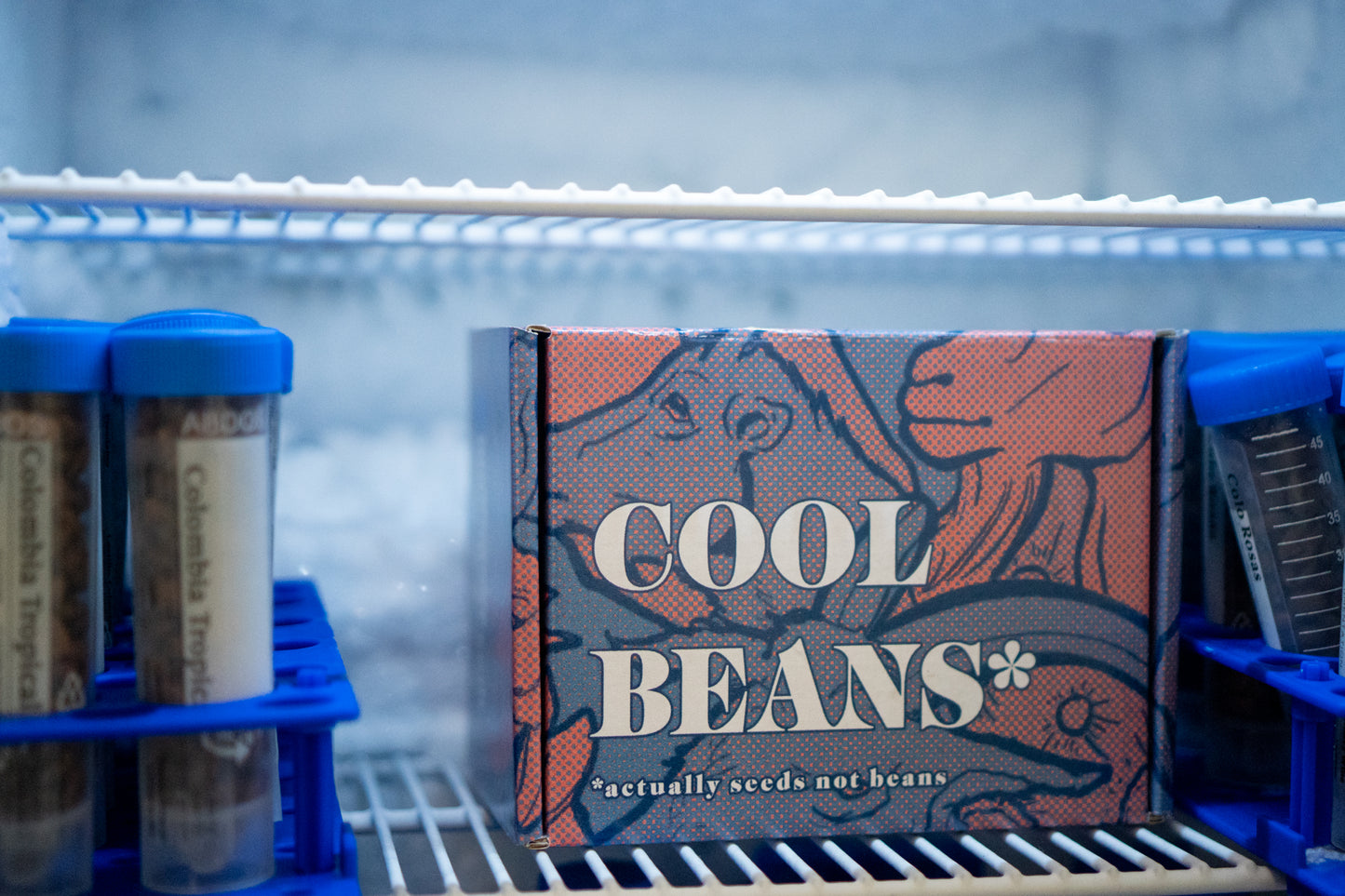12 Days of Cool Beans*