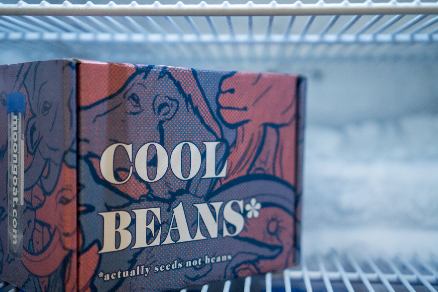 12 Days of Cool Beans*