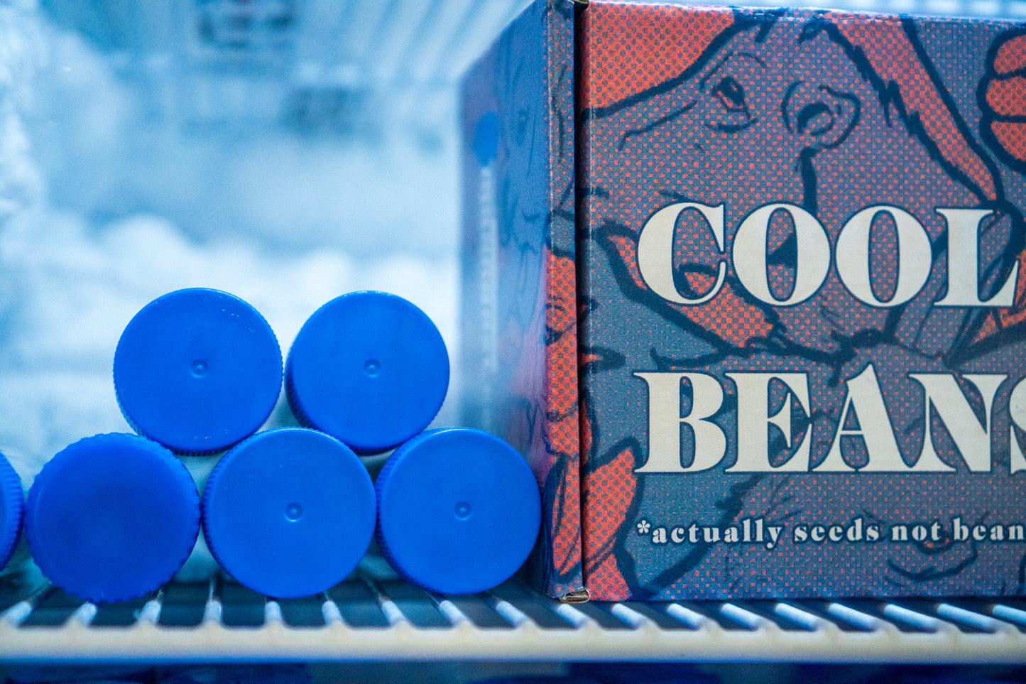 12 Days of Cool Beans*