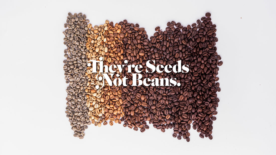 They're Seeds not Beans.