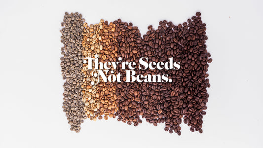 They're Seeds not Beans.