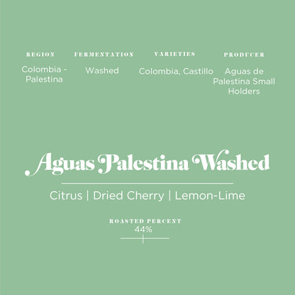 Aguas Palestina Washed