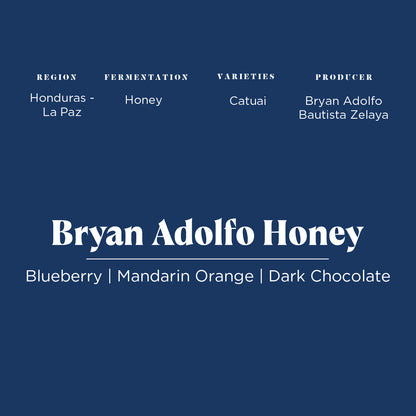 Bryan Adolfo Honey