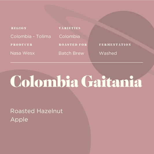 Colombia Gaitania Washed