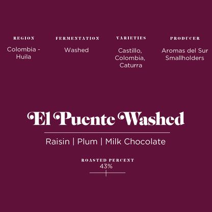 El Puente Washed