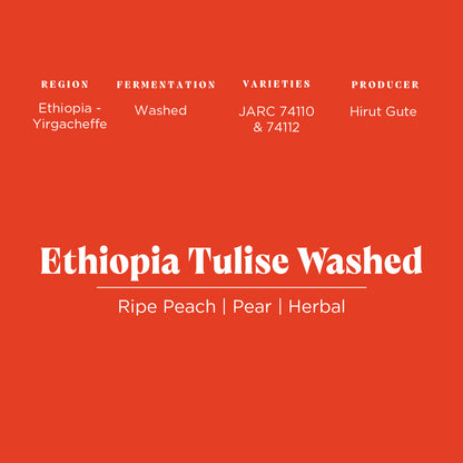 Ethiopia Tulise Washed