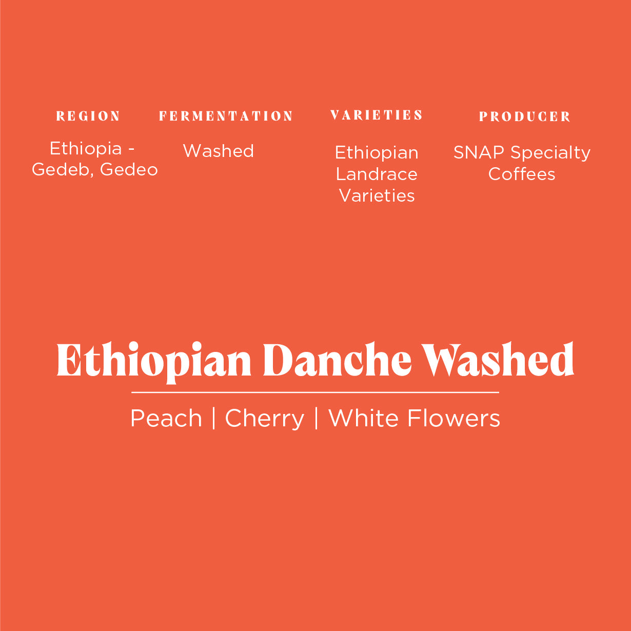 Ethiopia Danche Washed