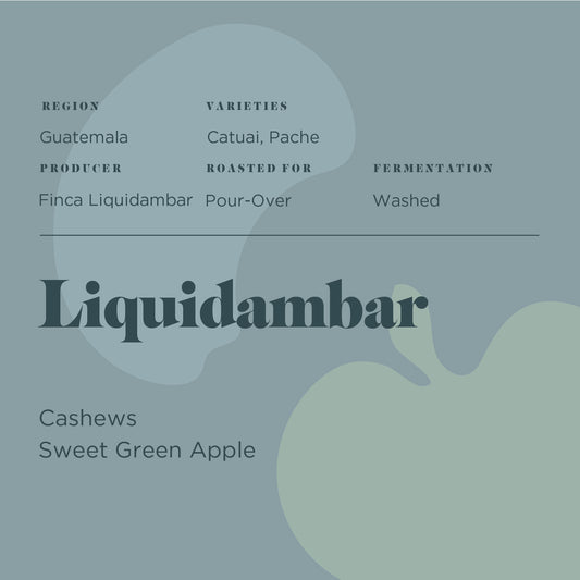 Liquidambar Washed
