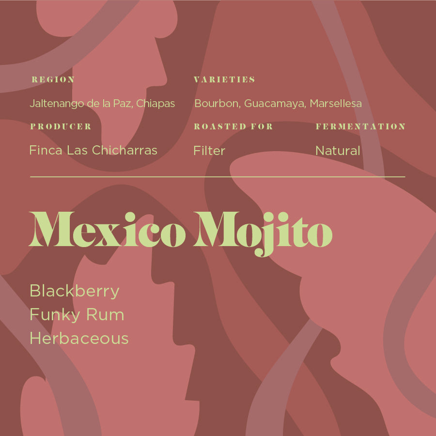 Mexico Mojito
