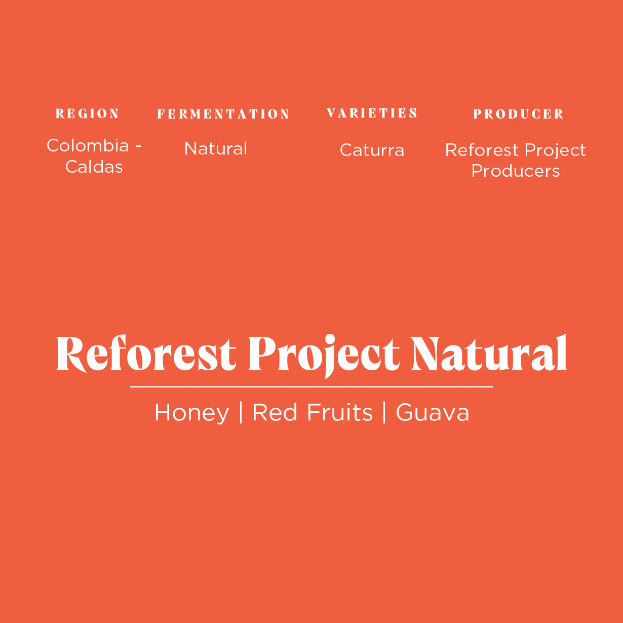 Reforest Project Natural