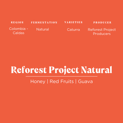 Reforest Project Natural