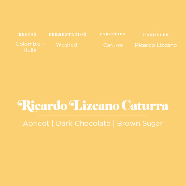 Ricardo Lizcano Washed
