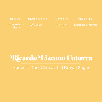 Ricardo Lizcano Washed