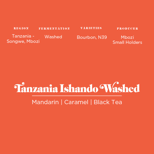 Tanzania Ishando Washed