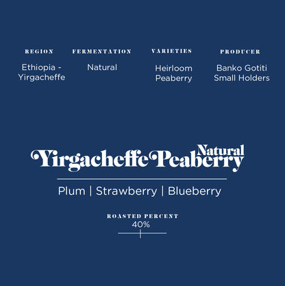 Yirgacheffe Peaberry Natural